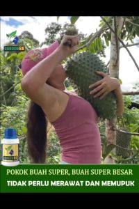 GARDEN68 kemasan repack 10gr vitamin tanaman
