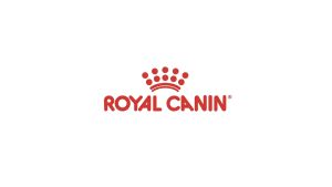 SEAL 10KG HẠT ROYAL CANIN NHẬP THÁI CHO MÈO KITTEN 10KG INDOOR 10KG FIT 10KG  FIT32 10KG Nhập Khẩu Hàn Chính Hãng SUPERPETS VIỆT NAM