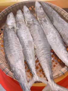 Khô Cá Thu Muối Dùi Nguyên Con Thơm Ngon Loại 1 Cao Cấp- Vựa Khô Minh Triết