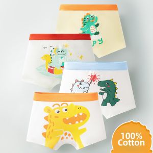 Cotton Flat Boxer Briefs Cartoon Dinosaur Design