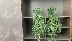 Artificial Ivy Hanging Eucalyptus Vine Plastic Plants for Home Indoor Outdoor Garden Door Wall Wedding Party DIY Decoration
