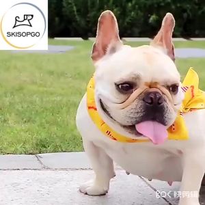 Pet Cooling Collar Adjustable Dog Cat Ice Cold Scarf Summer Anti Heat Stroke Pet Going Out Collars