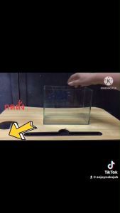 โหลปลา โหลกุง ตู้ปลา 8 นิ้ว (10x20x15 cm.)