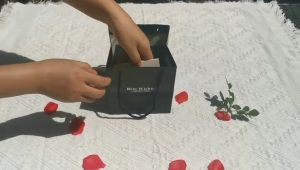 Kotak Kalung 9 Rose: Kado Valentine & Seserahan Romantis