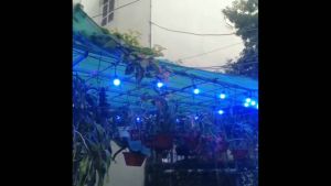 Bóng Đèn Chanh Bóng Led 3W Tự Động Đổi Nhiều Màu Trang Trí Nhà Cửa  Sân Vườn RGB Nháy Đổi Màu Tự Động  Giá Rẻ  Chống Nước