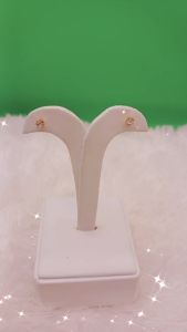 Giwang Berly 02 - Titanium Premium Quality Tidak Berkarat & Tahan Lama WS0008