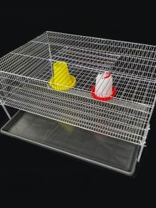 เรือนเลี้ยงไก่แบบหนาขึ้นอีกชั้นหนึ่ง รักษาความปลอดภัยได้ดี เรือนเลี้ยงไก่พันธุ์บ้านขนาดใหญ่สำหรับเลี้ยงไก่พันธุ์บ้านและไก่พันธุ์บ้าน