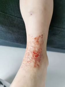 ORGANIC PEACE SOAP (Sabun Organic) 100% Made With Organic Ingredients