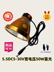 HongShun Outdoor Ultra-Bright Night Fishing Lamp LED 10W-100W Yellow White Blue Light Fishing Light Waterproof IPX8 Heavy Duty