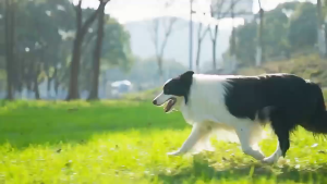 Large Elevated Pet Dog Bed Mesh Pet Bed For Dog Washable Pet Dog Cat Mattress Breathable Comfortable Pet Bed steel frame house anti skin disease