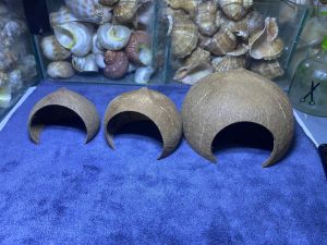 Nhà ở cho các thú cưng ốc mượn hồn chuột hamster bọ sác trang trí đủ size.OMH câc
