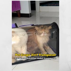 BAG PET TAS TRAVEL UNTUK HEWAN KUCING KELINCI CARGO MODEL 3IN1 TRANSPARAN BAHAN TEBAL TAHAN AIR