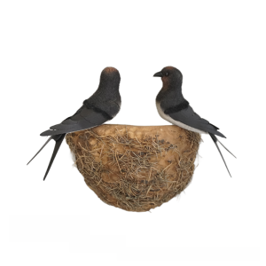 Rustic Home Decor Wall Hanging Artificial Swallows Nest Ornament Small Swallow Figurine Wall Decoration Living Room Decor