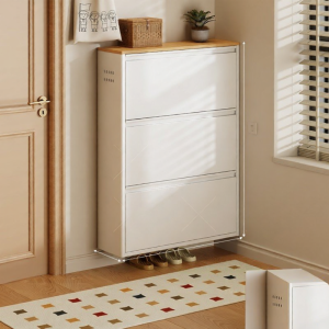 DIBIOU | Slim Steel Integrated Entryway Shoe Cabinet Large Capacity