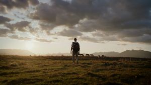 Ulanzi ORIGINAL MALAYSIA TT09 VideoGo Carbon Fiber Travel Video Tripod