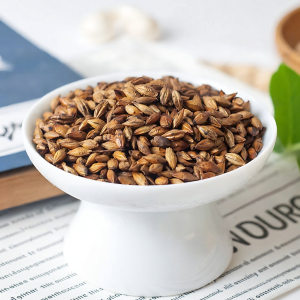 GUOXIANGQIAN | Digestive Support Barley Tea Large Capacity