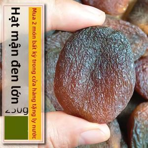 No Additive Seedless Dried Apricots 250g