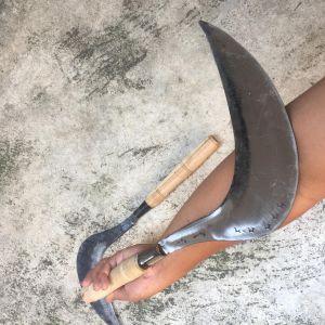 sabit rumput super tajam baja asli-sabit pengaritan-pemotong rumput