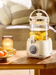 APIXINTL | Multi-functional House Use Electric Kettle