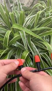 Kaiser ชุดพ่นหมอก ชุด 5-10-20-40 เมตร ชุดพ่นละออง ไอน้ำ พ่นฆ่าเชื้อ รดน้ำต้นไม้ ลดฝุ่น PM2.5 ถูกสุดด!!