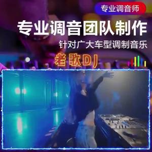 TF音乐内存卡老歌慢摇DJ听歌歌曲mp3存储卡插卡手机小音响收音机