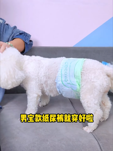 Cocoyo Dog & Cat Pet Diapers Strong Absorb Soft and Breathable For Female And Male 10 PCS/pack 狗狗生理裤尿不湿宠物卫生巾母狗月经裤