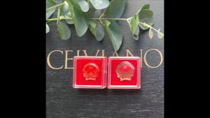 Huy hiệu cài áo hình quốc huy