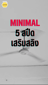 Lucky Misu พัดลมเพดานลัคกี้มิตซู 48 นิ้ว 5 สปีด มีสายสลิงยึด รุ่นมินิมอล สีเขียว/สีขาว/สีดำ