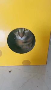 Cat Toy House Indoor Cats Scratching Board Scratch Board Corrugated Cardboard Yellow Cheese Box Scratcher Sleeping Bed