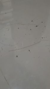 ธูปกันยุง ตระไคร้หอม (สีดำ) 550-580 ก้านธูป พร้อม ราคาโรงงาน ขนาด 1กก. มีประมาณ 550-580 ก้านธูป ยากันยุง ใข้ได้กับคนและสัตว์เลี้ยง