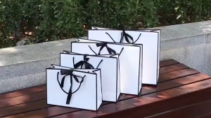 Wholesale White card board black Gift Kraft Paper Bag Plain Rope Handle Hand bag Gift Bag Paperbag per pcs