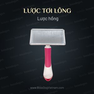 Lược chải lông chó mèo - Đầu răng tròn | BossDog