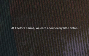 Natural Factors - Lactase Enzyme (60 Capsules)