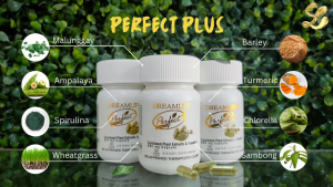 Perfect Plus Gold ( 30 Capsules )