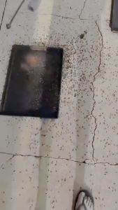 【ซื้อ 1 แถม 1】เหยื่อกำจัดแมลงวัน กําจัดแมลงวัน ฆ่าแมลงวัน ฆ่าเห็บหมัดแมลงสาบยุงมด ยาฉีดแมลงวัน ไล่แมลงวันฟาร์ม สเปรย์ไล่แมลงวัน