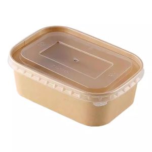 TAFUMAN | Outdoor Camping Use Disposable Kraft Paper Food Containers