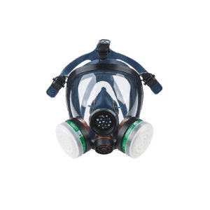 Toxic Paint and Pesticide Protection Full Face Mask