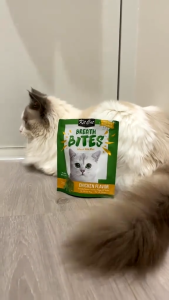 60g Kitcat Breath Bites Cat Cats Snack Treat Food All Stages Adult Kitten Pet Food Essentials