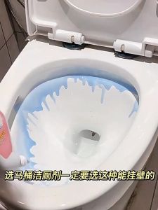 Toilet Bowl Liquid Cleaner Remove Stain Toilet Ceramic Surface Sink Powerful Cleaning 550ml马桶液体清洁剂去除污渍马桶陶瓷表面水槽强力清洁 550ml