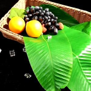 3Pcs 56CM Large Artificial Banana Leaves Wedding Party Kitchen Table Decoration Fake Banana Leaf