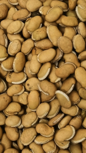 炒扁豆 200g Baked White Hyacinth Bean Cao Bian Dou