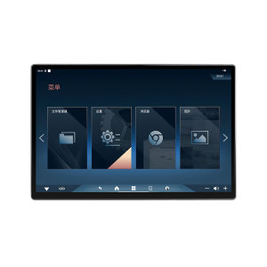 GOGOGPS | Rear Entertainment System BMW Car TV Display