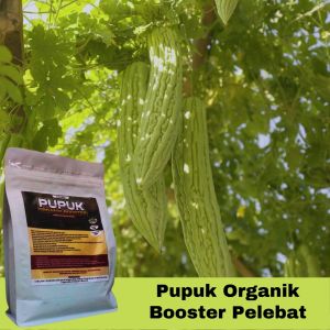 Pupuk Pare Organik Pembesar Buah Penyubur Tanaman Cepat Berbuah dan Anti Rontok Booster Pare