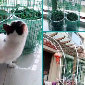 PVC Welded Wire Mesh: Green & Durable Garden & Farming Mesh