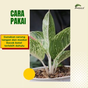 Pestisida Tanaman Hias Pestisida Kutu Putih Spray 500ml by Bitan