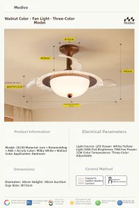 FANCY LAMP CLUB | Vintage Bedroom Study Fan Lamp Luxurious Invisible Blades