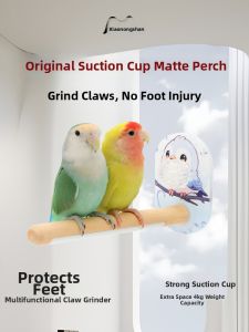 XIAONONGSHAN | Sanding Grinding Parrot Perch
