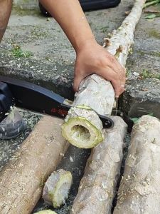 【รับประกัน 5 ปี】เลื่อยไฟฟ้า 6 นิ้ว 1299V แบตเตอรี่ 2 ก้อน Li-ion เลื่อยไฟฟ้าไร้สาย เลื่อยตัดไม้ เลื่อยยนต์ เลื่อยโซ่ไฟ เลื่อยโซ่ไร้สาย เลื่อยโซ่ไฟฟ้า ​เลื่อยยนต์ตัดไม้ เลื่อยไร้สาย เลื่อยยนตัดไม้ เลื่อยโซ่ยนต์ เลื่อยโซ่