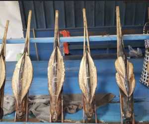 Bambu Capit Ikan Asap/Bakar Halus&Kuat Isi 100 Pcs
