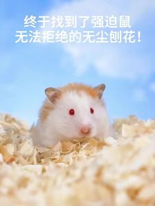 CARNO | Vật Liệu Lót Chuồng Hamster & Thú Cưng Mảnh Gỗ